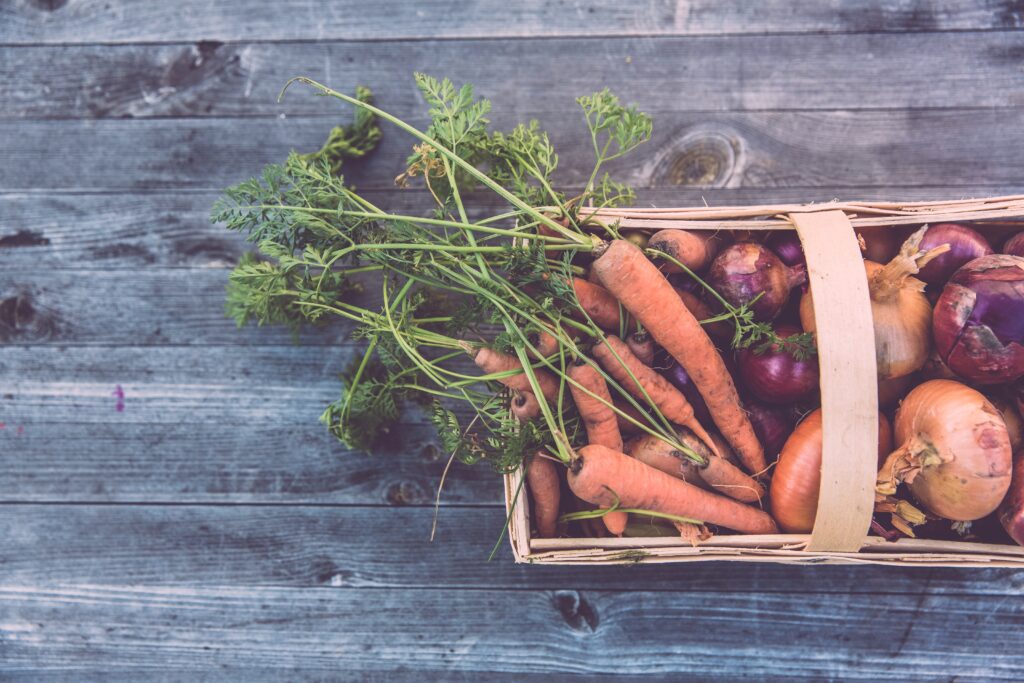 Organic Food Benefits for Health